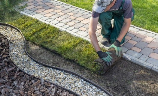 landscaping texas