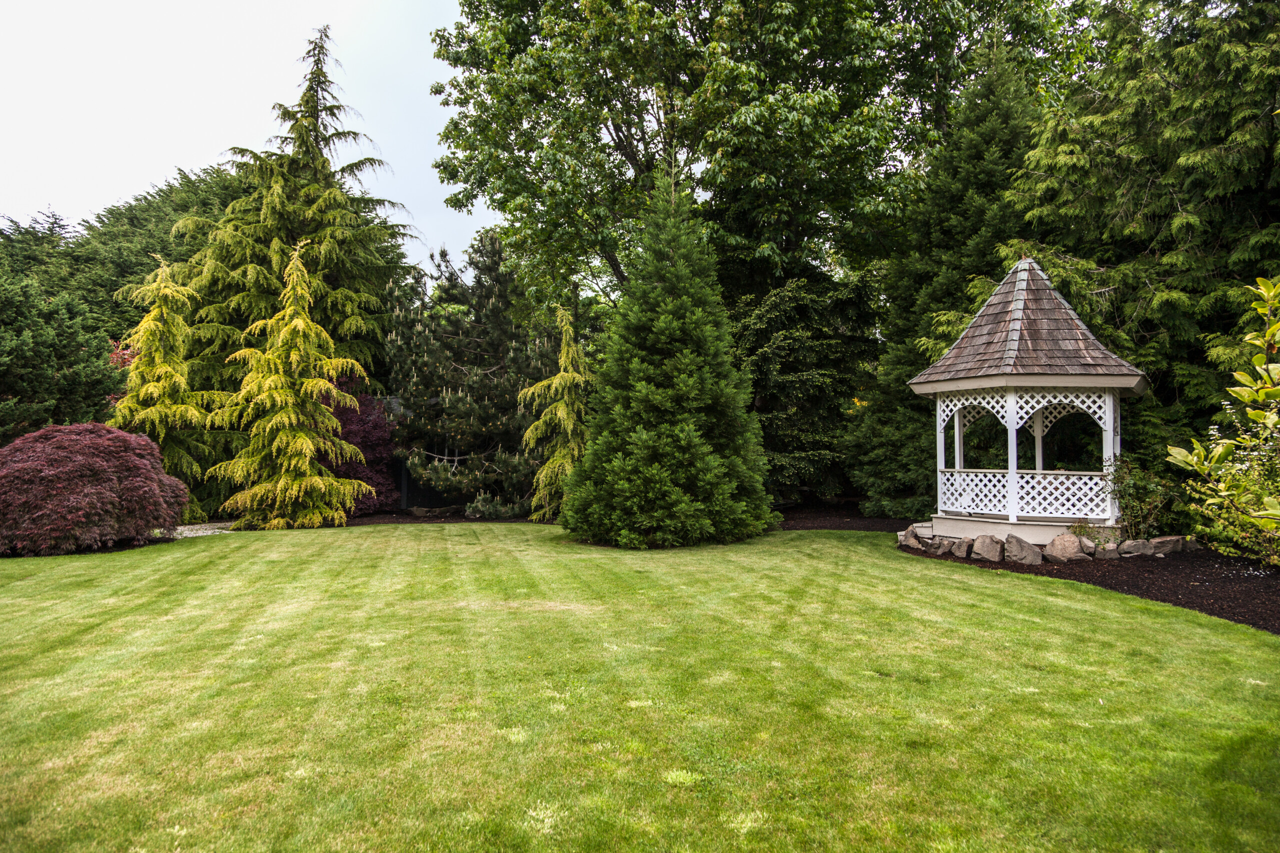 how to reduce soil erosion - well landscaped lawn concept image.