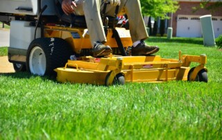landscaping contractor in texas
