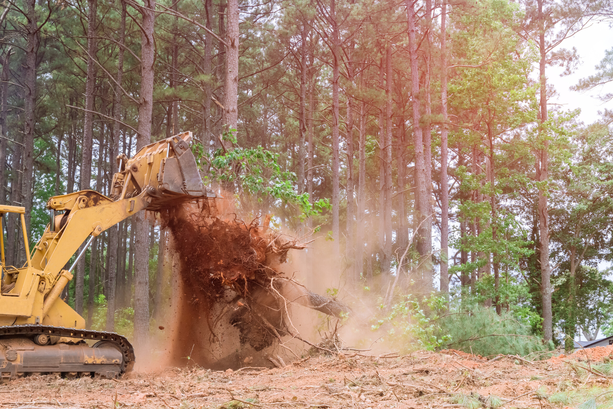 land clearing contractors Texas
