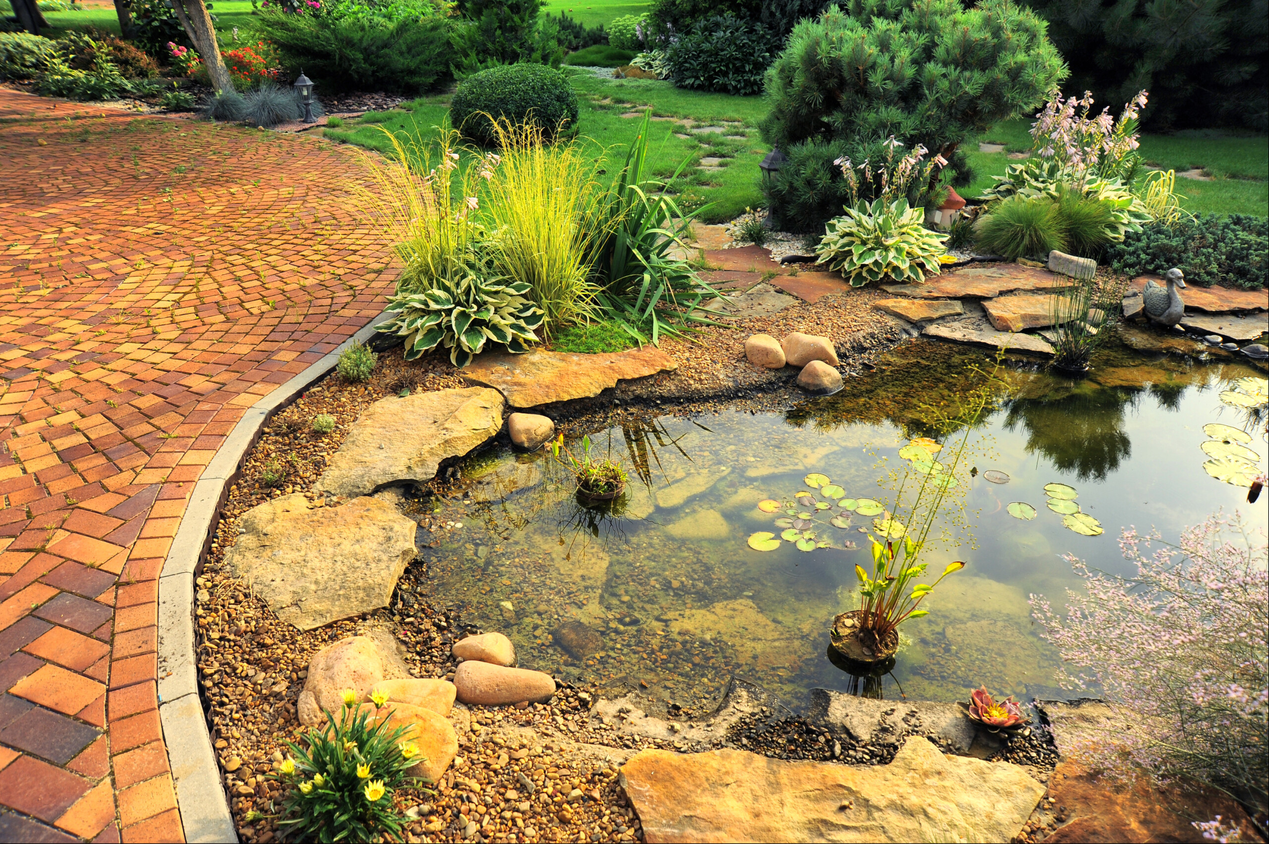 pond maintenance, concept image.