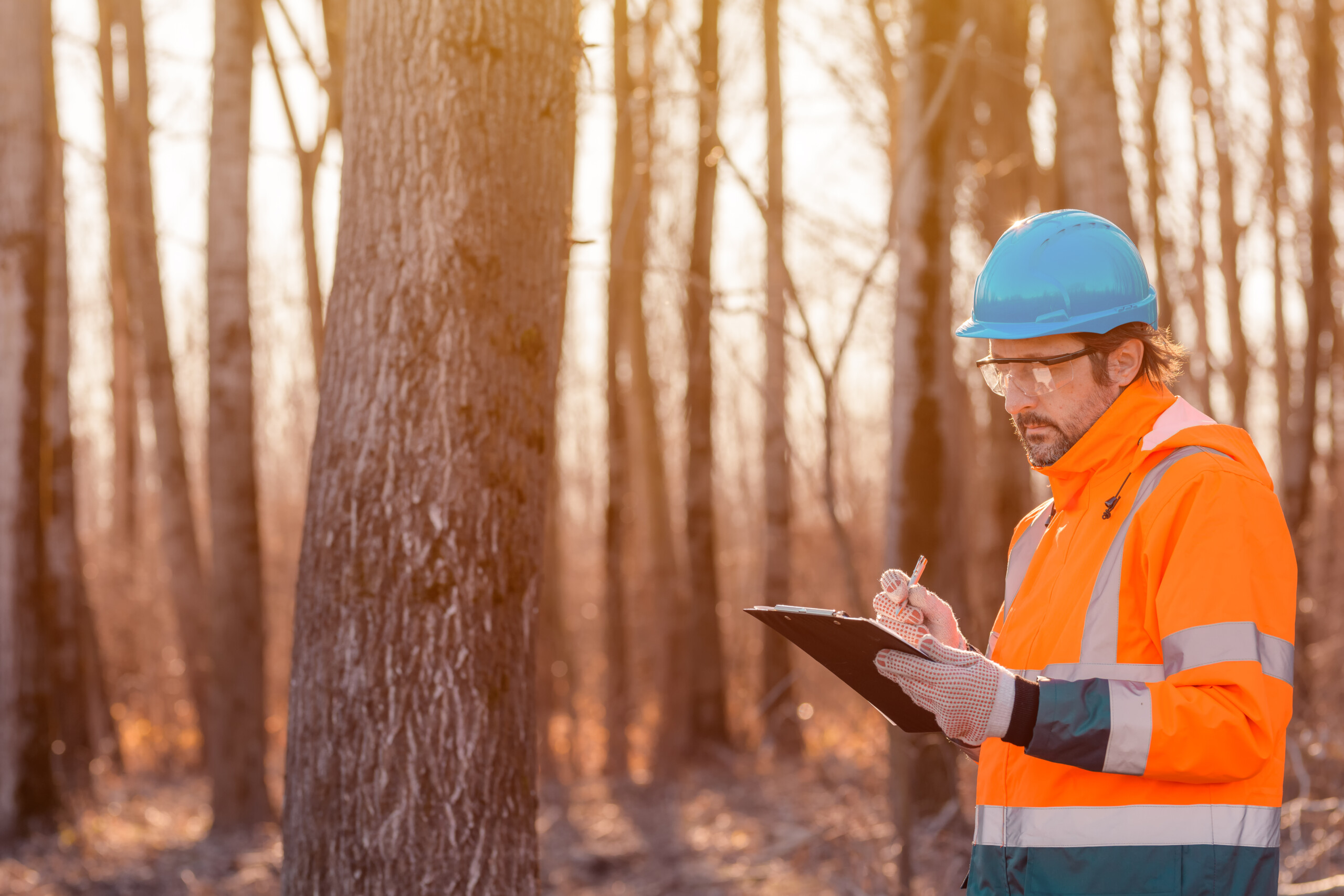 Forestry technician writing notes on clipboard notepad paper in forest